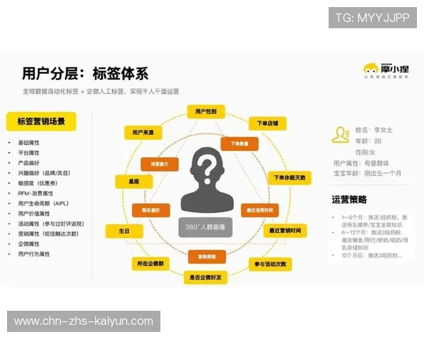 数据驱动内容精准分发，用户画像系统提升内容触达效率